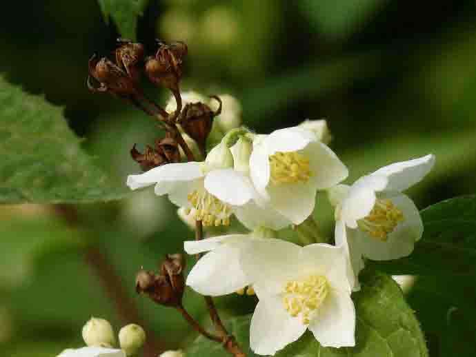 太平??.jpg 太平??.jpg