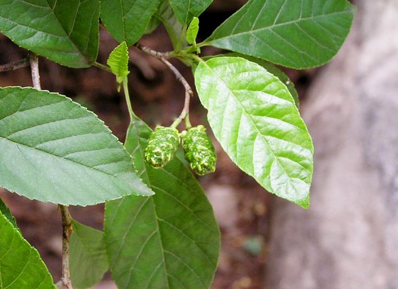 水冬??.jpg 水冬??.jpg